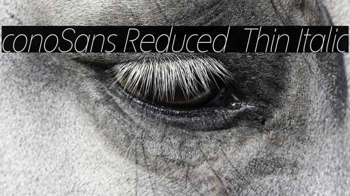 ÉconoSans Reduced 36 Thin Italic Example 1