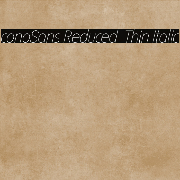 ÉconoSans Reduced 36 Thin Italic Example 2