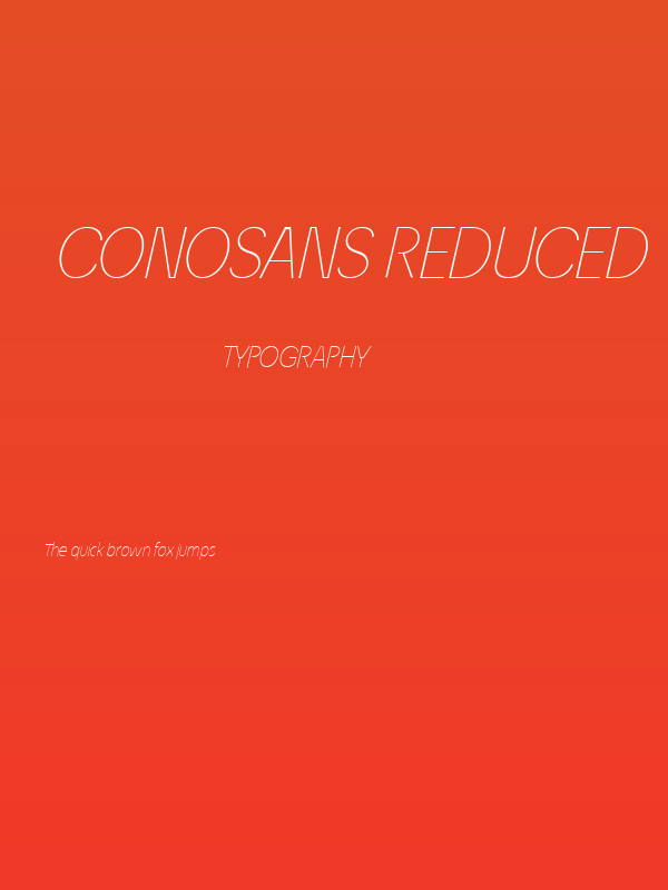 ÉconoSans Reduced 36 Thin Italic Poster