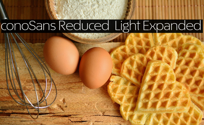 ÉconoSans Reduced 43 Light Expanded Example 2