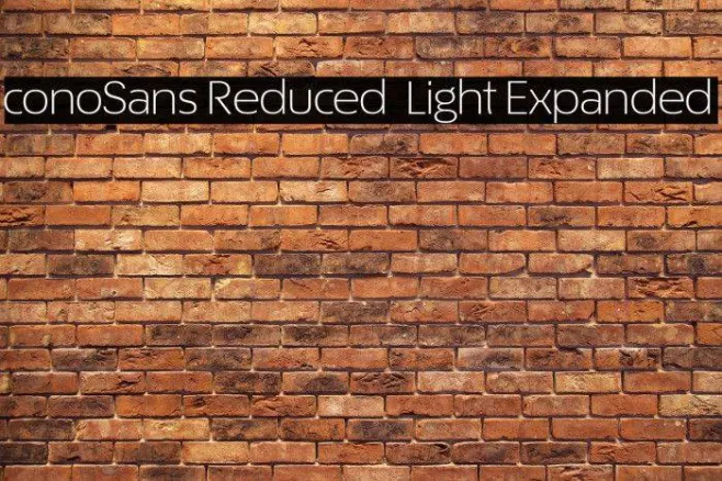 ÉconoSans Reduced 43 Light Expanded Example 3