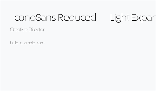 ÉconoSans Reduced 43 Light Expanded Business Card