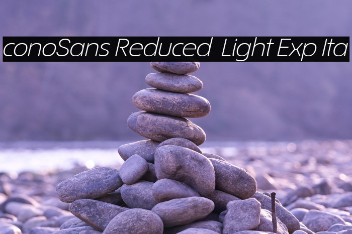 ÉconoSans Reduced 44 Light Exp Ita Example 3