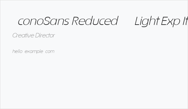 ÉconoSans Reduced 44 Light Exp Ita Business Card