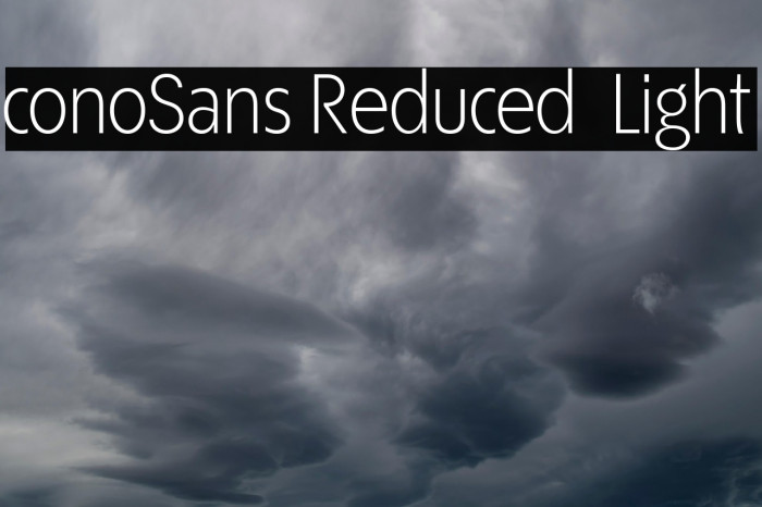 ÉconoSans Reduced 45 Light Example 1