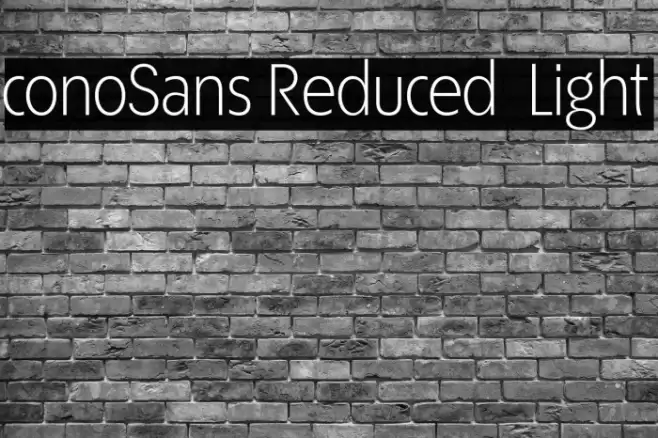 ÉconoSans Reduced 45 Light Font examples