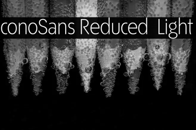 ÉconoSans Reduced 45 Light Font examples