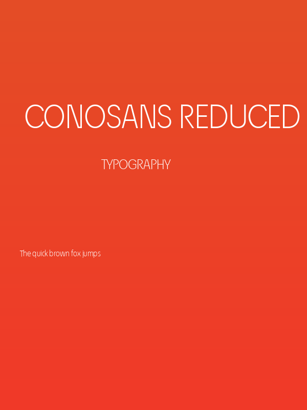 ÉconoSans Reduced 45 Light Poster