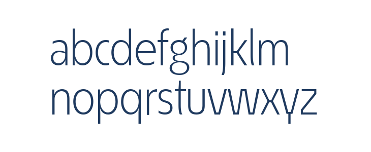 ÉconoSans Reduced 45 Light Lowercase