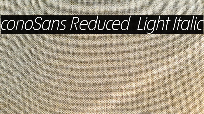 ÉconoSans Reduced 46 Light Italic Example 1