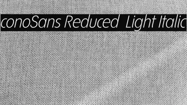 ÉconoSans Reduced 46 Light Italic Font examples