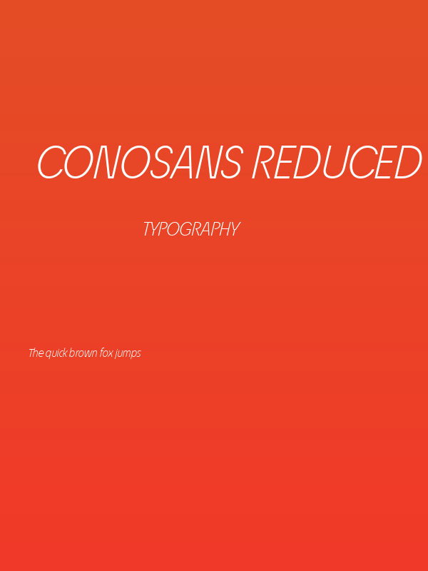 ÉconoSans Reduced 46 Light Italic Poster