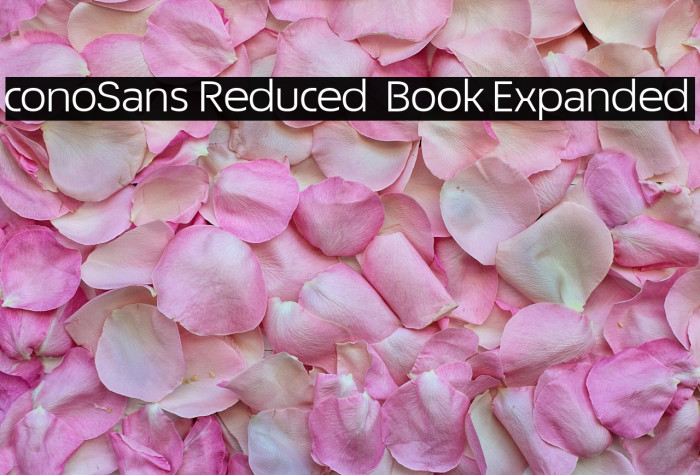 ÉconoSans Reduced 53 Book Expanded Example 3