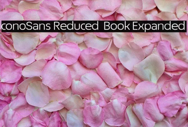 ÉconoSans Reduced 53 Book Expanded Example 3
