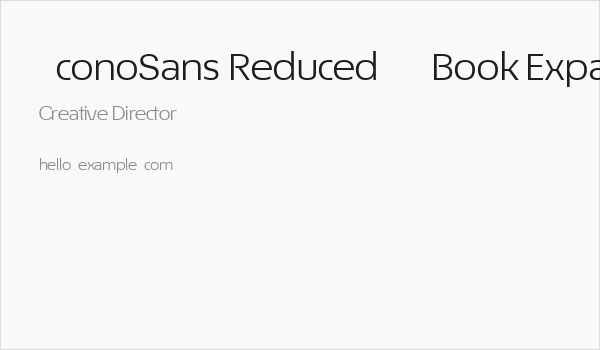 ÉconoSans Reduced 53 Book Expanded Business Card