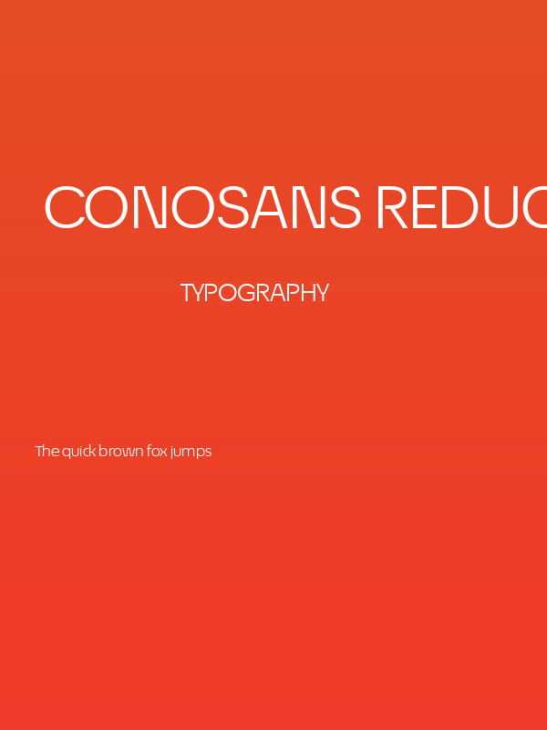 ÉconoSans Reduced 53 Book Expanded Poster