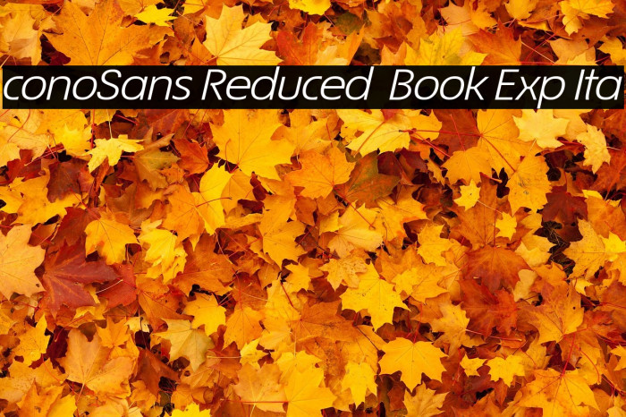 ÉconoSans Reduced 54 Book Exp Ita Example 1