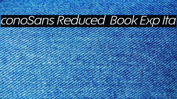 ÉconoSans Reduced 54 Book Exp Ita Example 2