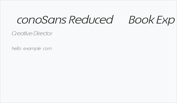 ÉconoSans Reduced 54 Book Exp Ita Business Card