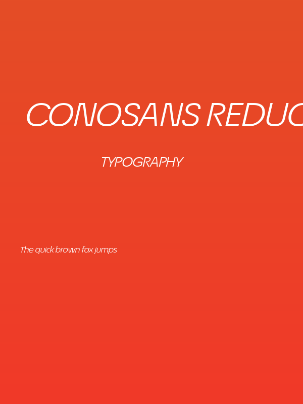 ÉconoSans Reduced 54 Book Exp Ita Poster