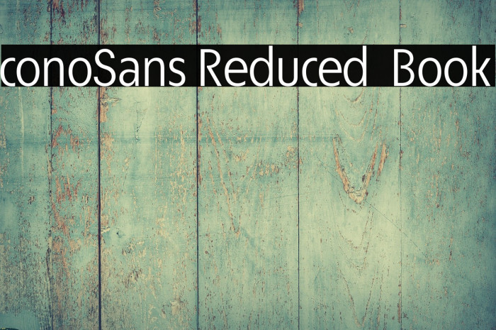 ÉconoSans Reduced 55 Book Example 1