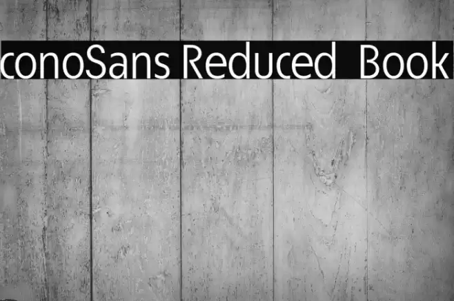 ÉconoSans Reduced 55 Book Font examples