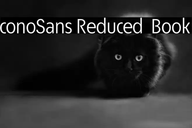 ÉconoSans Reduced 55 Book Font examples