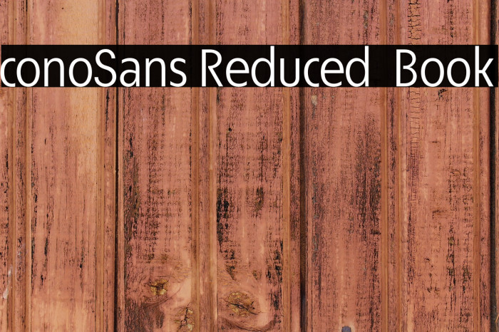 ÉconoSans Reduced 55 Book Example 3