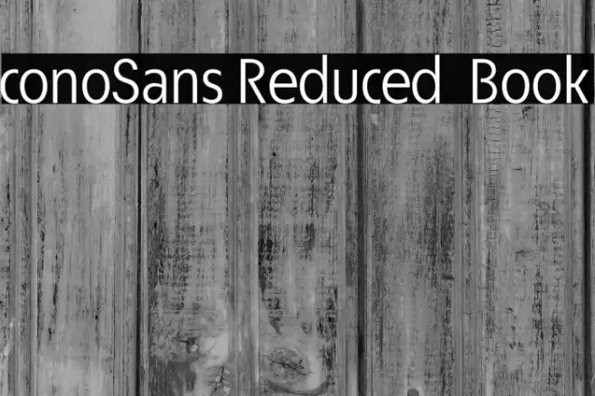 ÉconoSans Reduced 55 Book Font examples