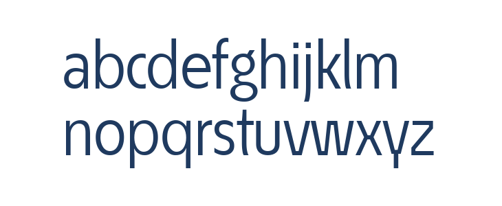 ÉconoSans Reduced 55 Book Lowercase