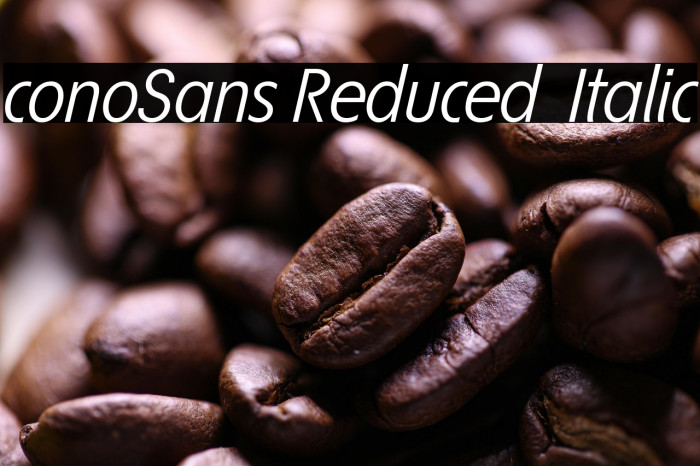 ÉconoSans Reduced 56 Italic Example 1