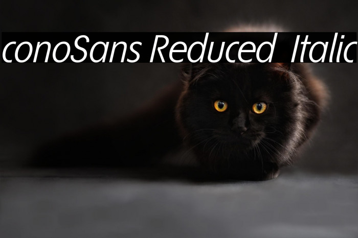 ÉconoSans Reduced 56 Italic Example 3