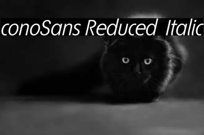 ÉconoSans Reduced 56 Italic Font examples