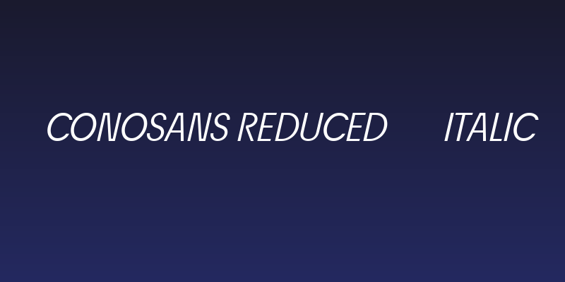 ÉconoSans Reduced 56 Italic Social Header