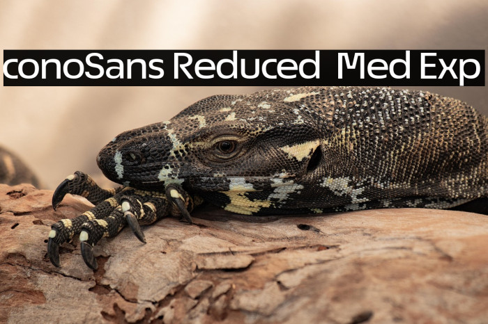 ÉconoSans Reduced 63 Med Exp Example 2