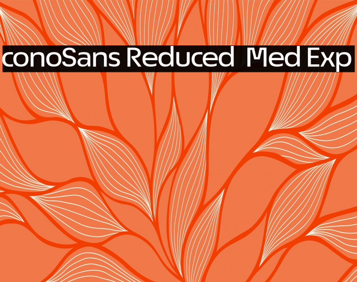 ÉconoSans Reduced 63 Med Exp Example 3