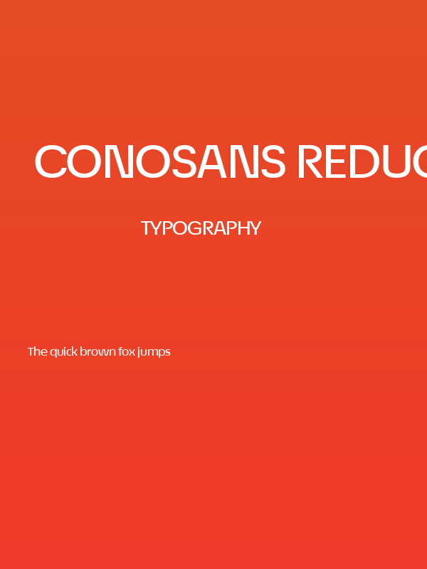 ÉconoSans Reduced 63 Med Exp Poster