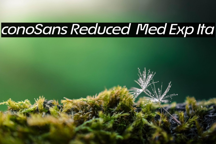 ÉconoSans Reduced 64 Med Exp Ita Example 1