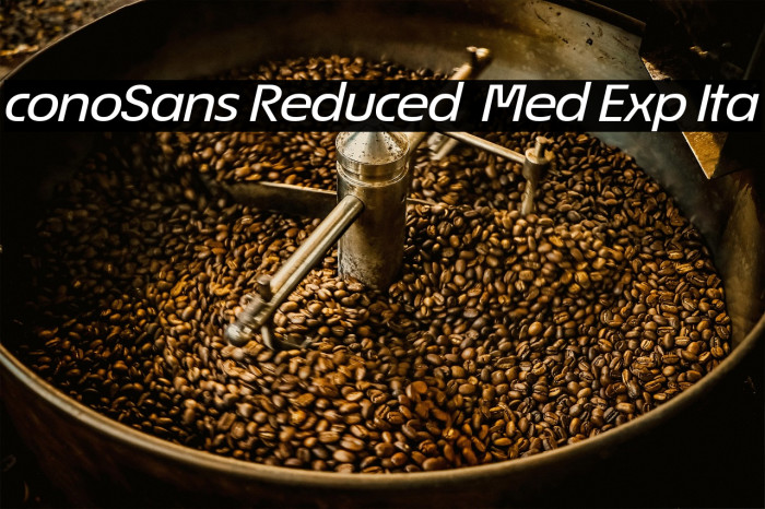 ÉconoSans Reduced 64 Med Exp Ita Example 2