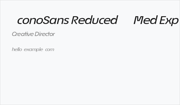 ÉconoSans Reduced 64 Med Exp Ita Business Card