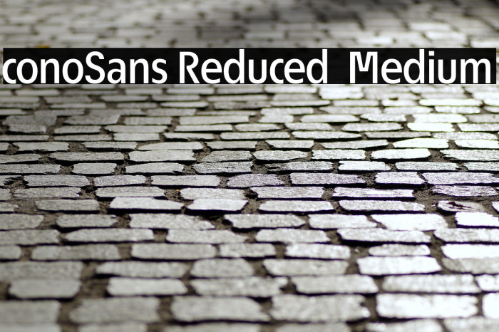 ÉconoSans Reduced 65 Medium Example 1