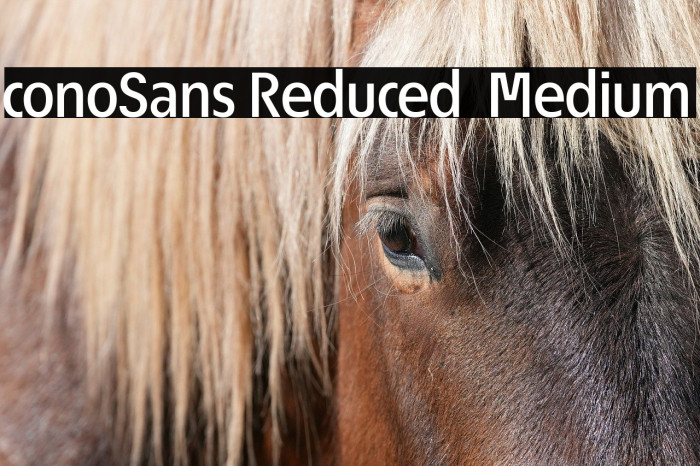 ÉconoSans Reduced 65 Medium Example 2