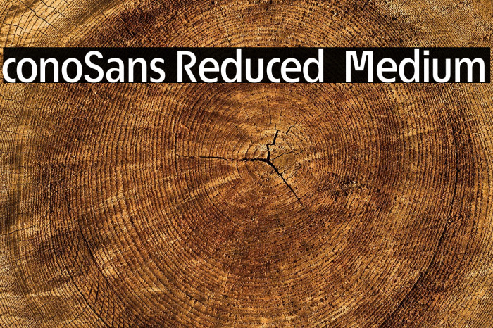 ÉconoSans Reduced 65 Medium Example 3