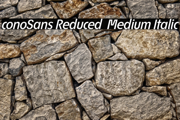 ÉconoSans Reduced 66 Medium Italic Example 1