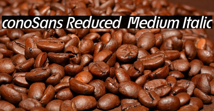 ÉconoSans Reduced 66 Medium Italic Example 3