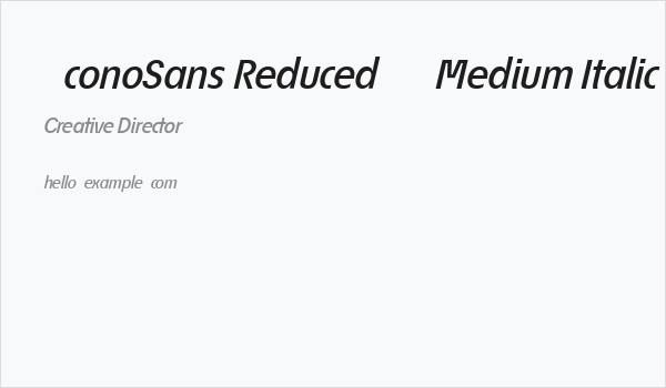 ÉconoSans Reduced 66 Medium Italic Business Card