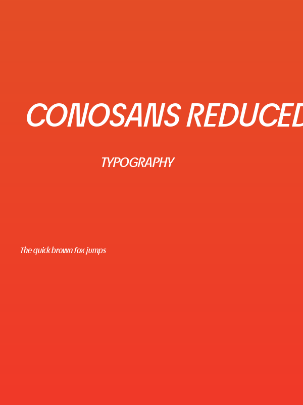 ÉconoSans Reduced 66 Medium Italic Poster