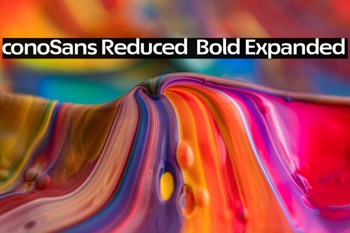 ÉconoSans Reduced 73 Bold Expanded Example 1