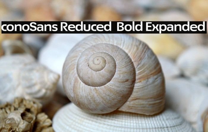 ÉconoSans Reduced 73 Bold Expanded Example 2