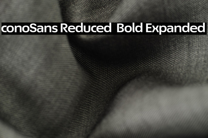 ÉconoSans Reduced 73 Bold Expanded Example 3